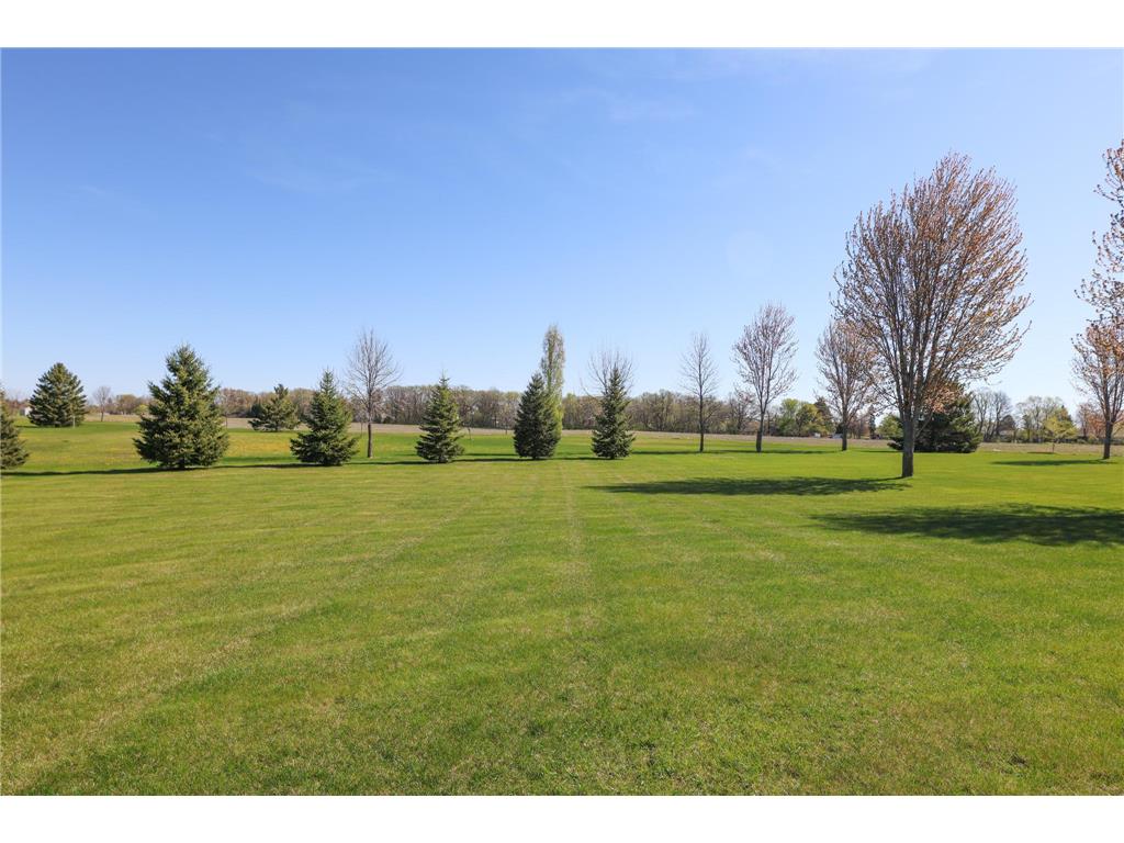 635 Dewberry Lane Alexandria MN 56308 7076666 image4