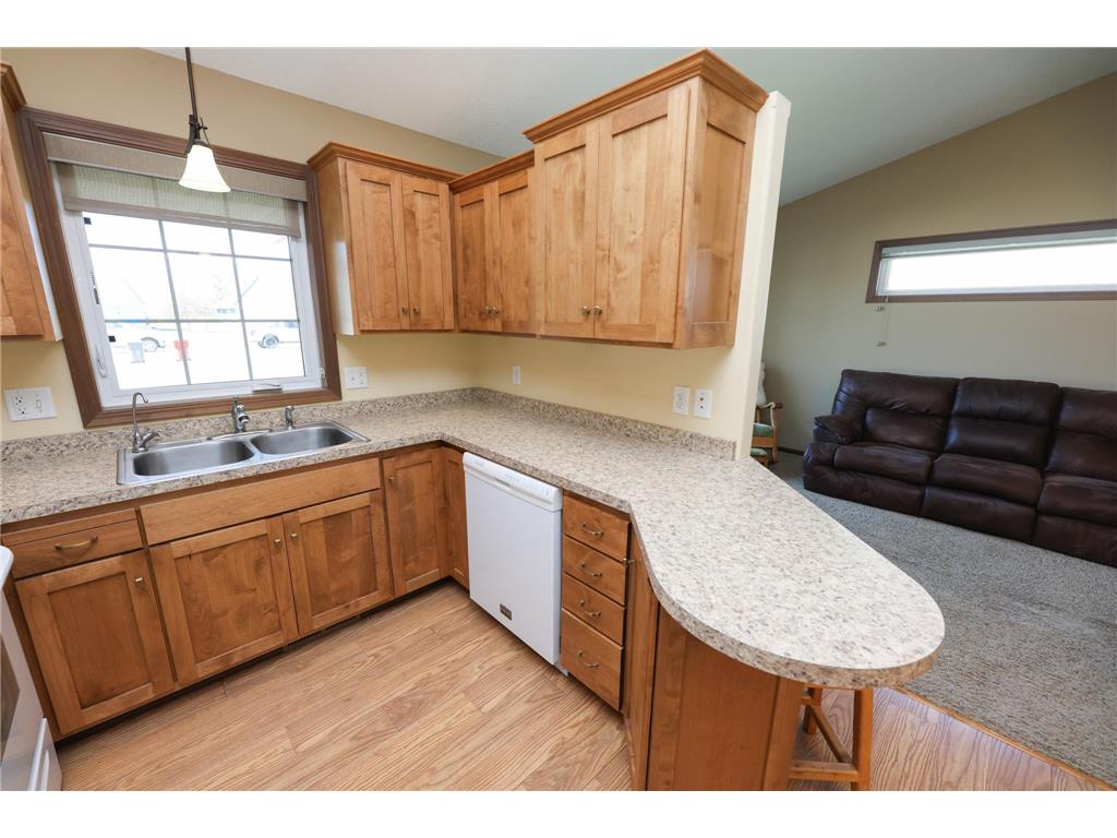 635 Dewberry Lane Alexandria MN 56308 7076666 image8