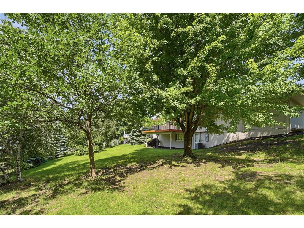 635 Iona Lane Roseville MN 55113 7089960 image46