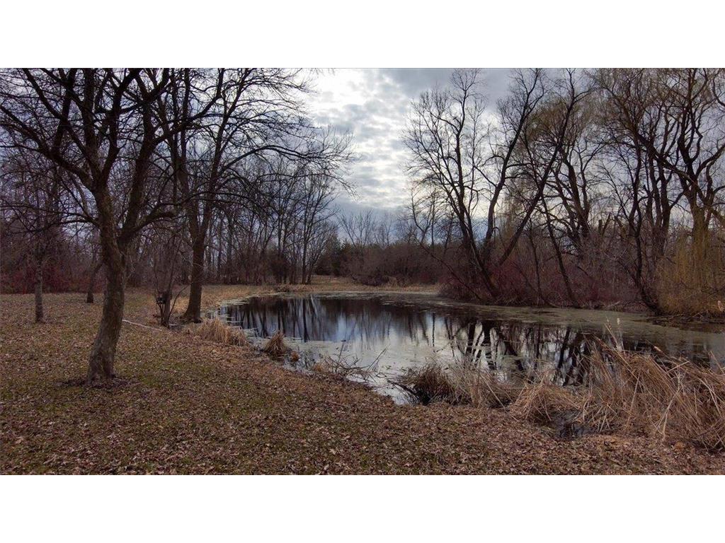 6352 Meridian Avenue S Franklin Twp MN 55363 7037393 image44