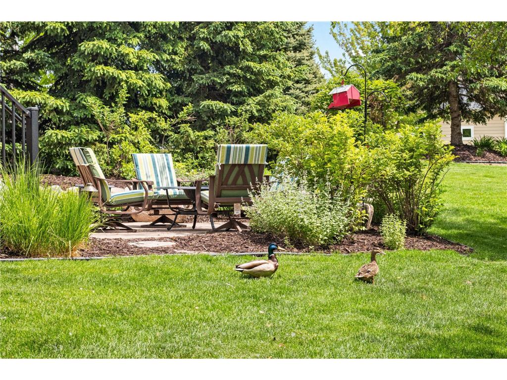 6357 Merrimac Lane N Maple Grove MN 55311 7015313 image89