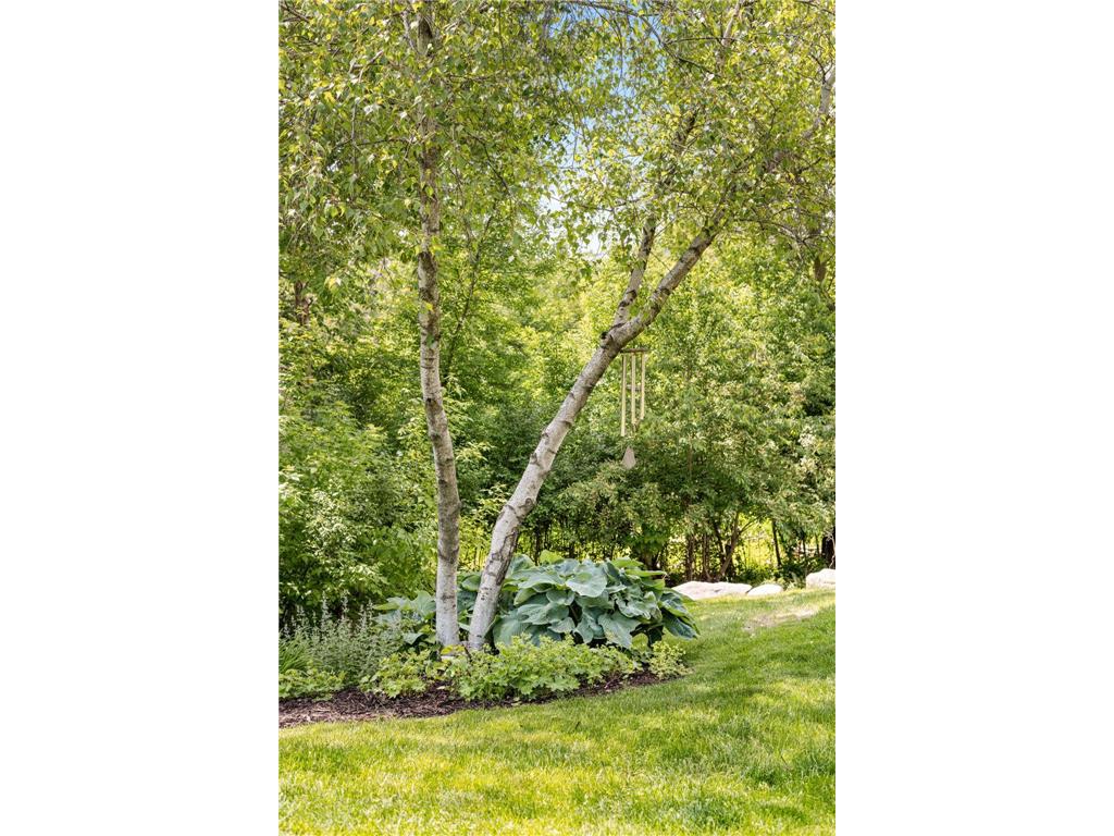 6357 Merrimac Lane N Maple Grove MN 55311 7015313 image94