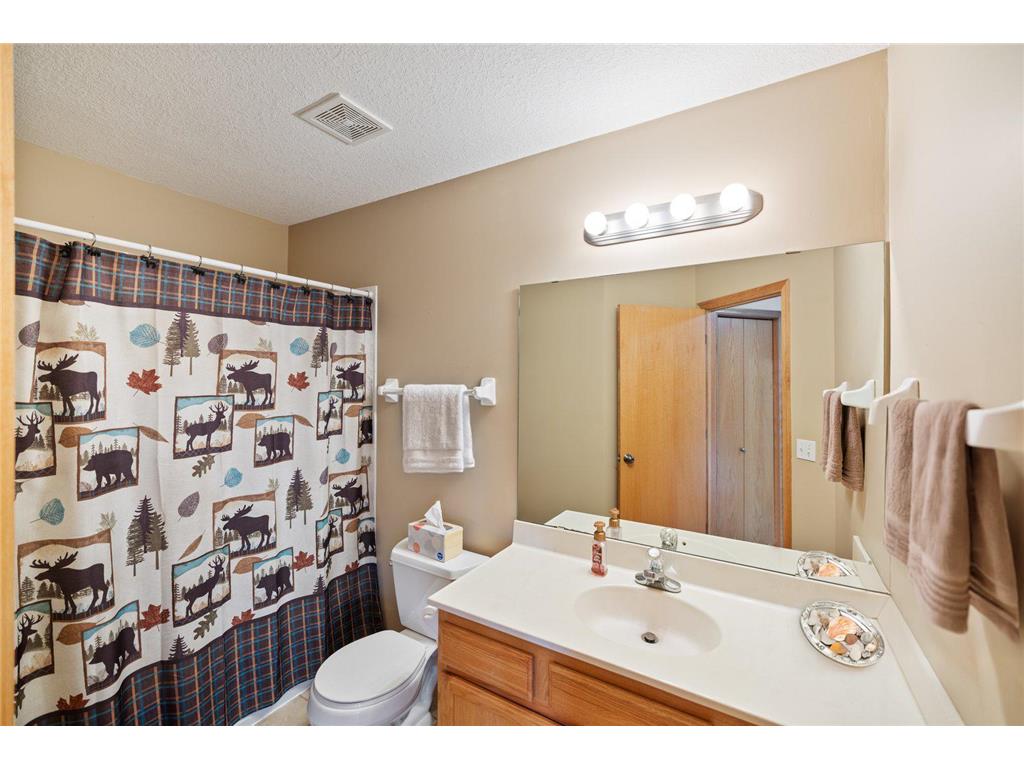 636 Ridgewood Lane Delano MN 55328 7026334 image29