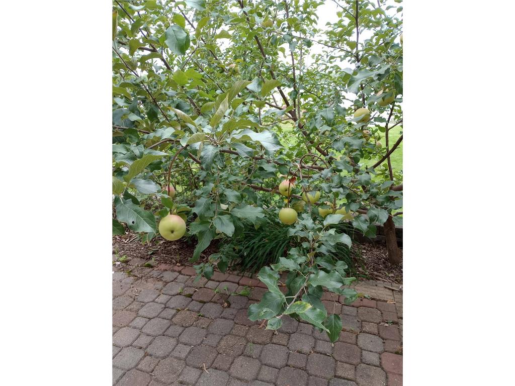 63626 Hannu Lane Finlayson MN 55735 - Upper Pine 7029663 image36