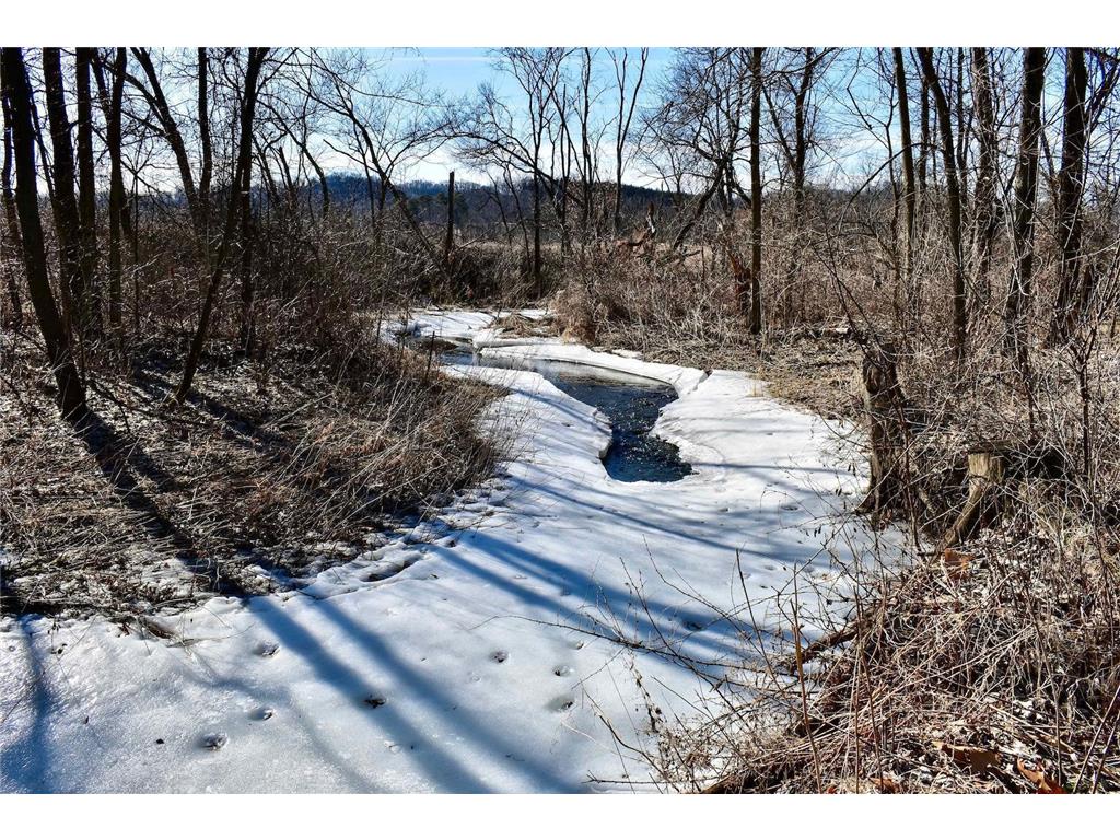 63627 170th Avenue Greenfield Twp MN 55945 - Gorman Creek 7024317 image40