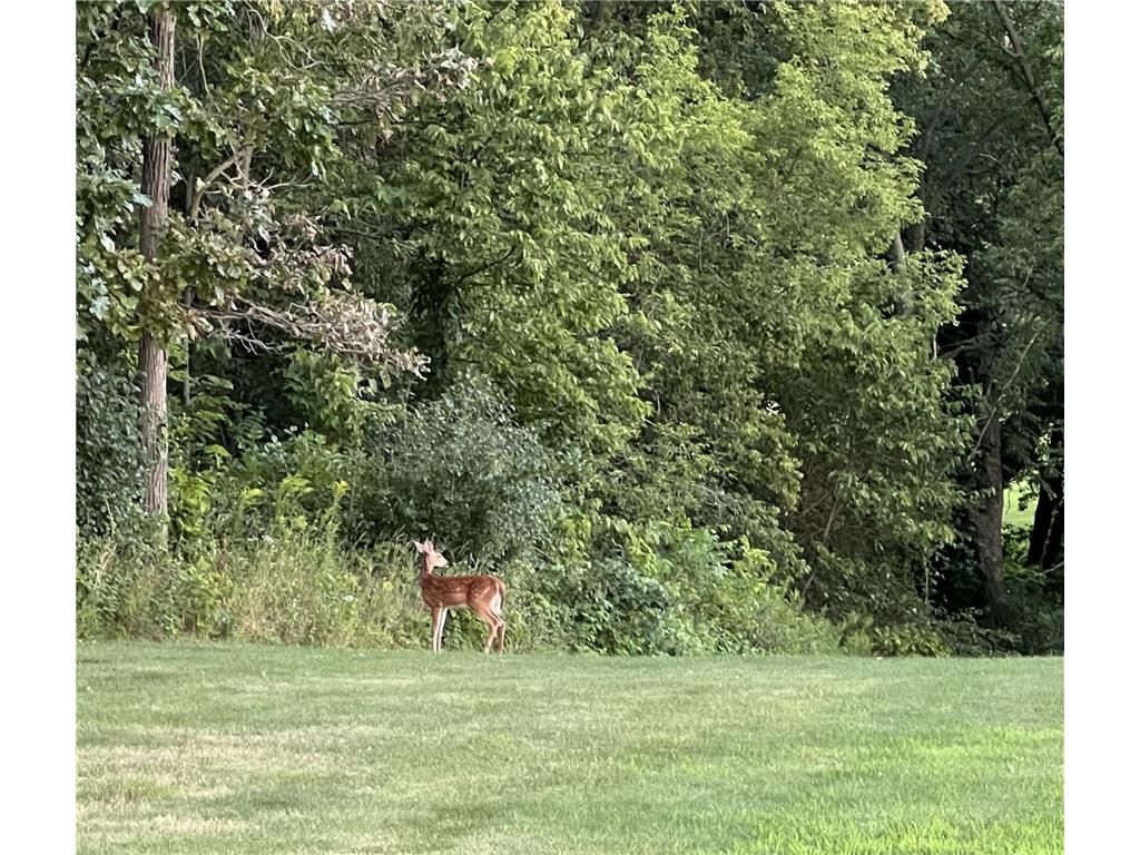 63627 170th Avenue Greenfield Twp MN 55945 - Gorman Creek 7024317 image58
