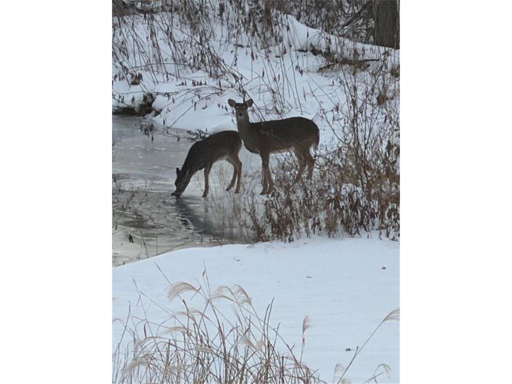 63627 170th Avenue Greenfield Twp MN 55945 - Gorman Creek 7024317 image59