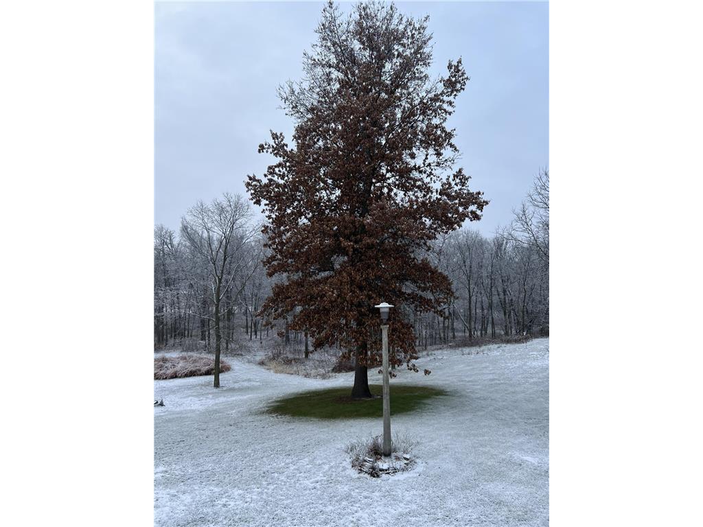 63627 170th Avenue Greenfield Twp MN 55945 - Gorman Creek 7024317 image60