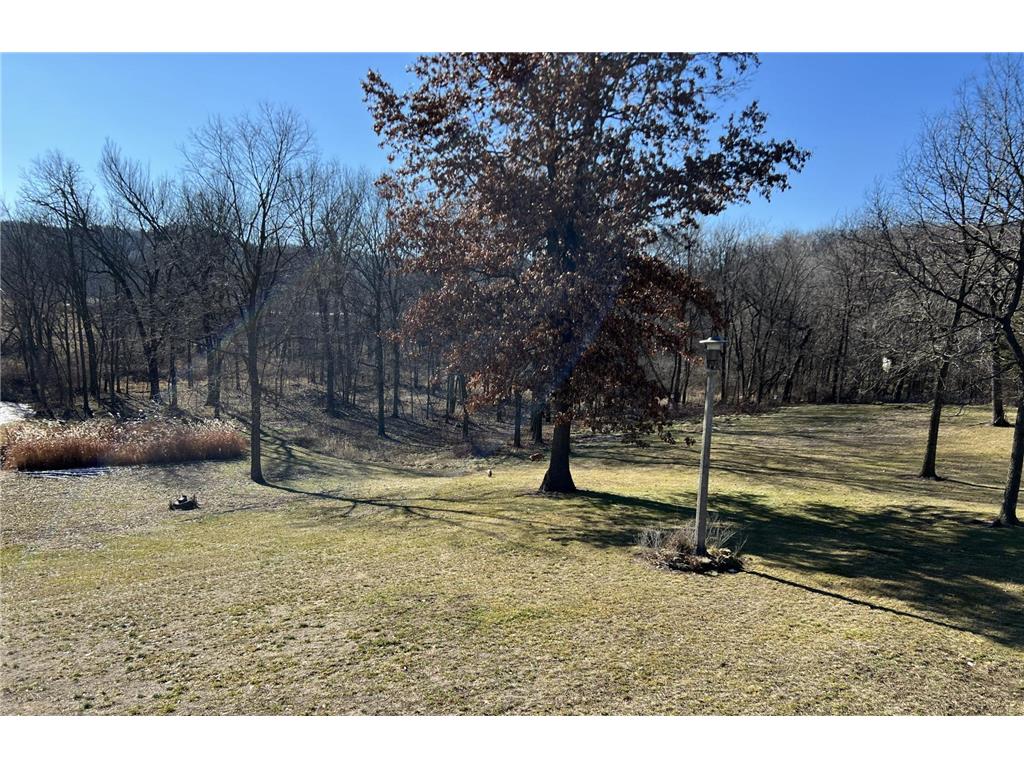 63627 170th Avenue Greenfield Twp MN 55945 - Gorman Creek 7024317 image61