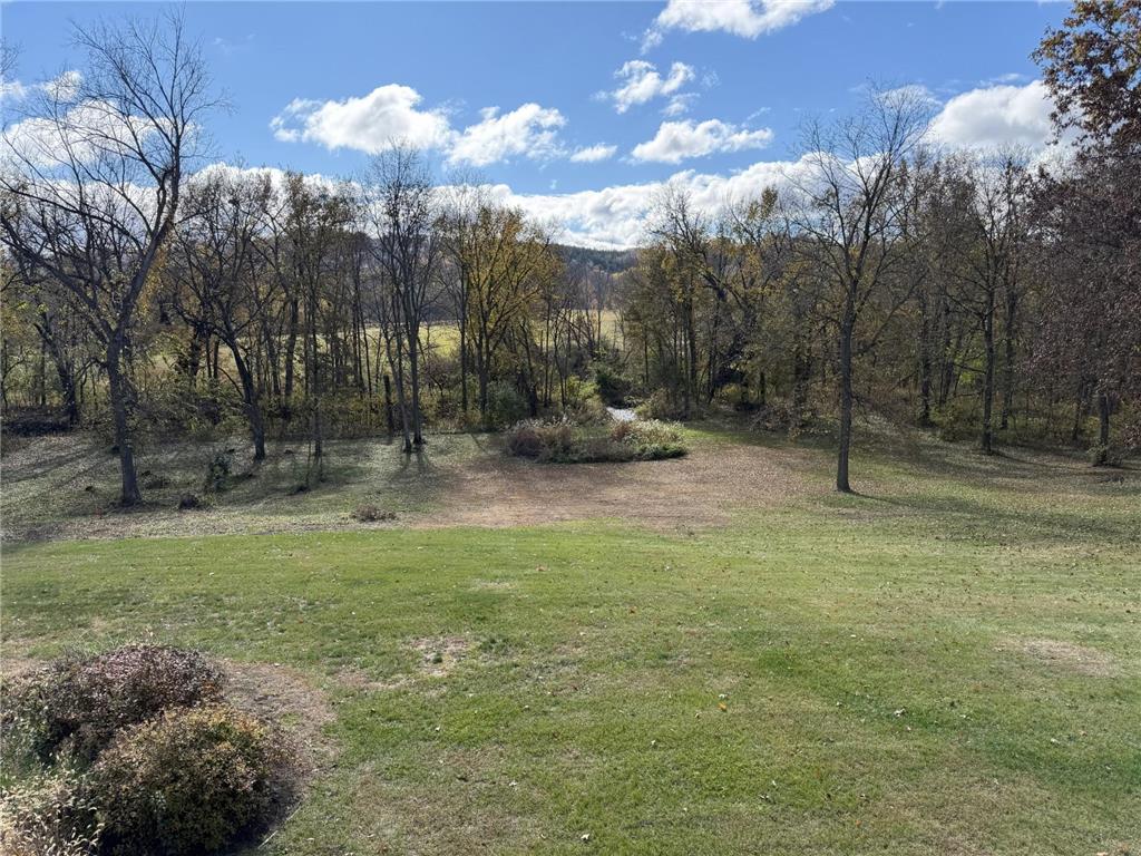 63627 170th Avenue Greenfield Twp MN 55945 - Gorman Creek 7024317 image62