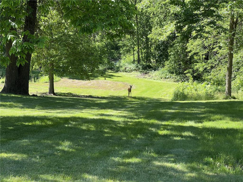 63627 170th Avenue Greenfield Twp MN 55945 - Gorman Creek 7024317 image63