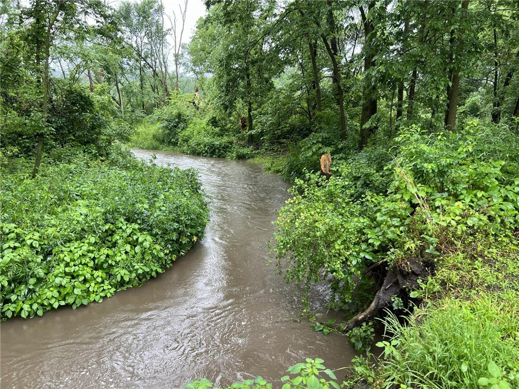 63627 170th Avenue Greenfield Twp MN 55945 - Gorman Creek 7024317 image67