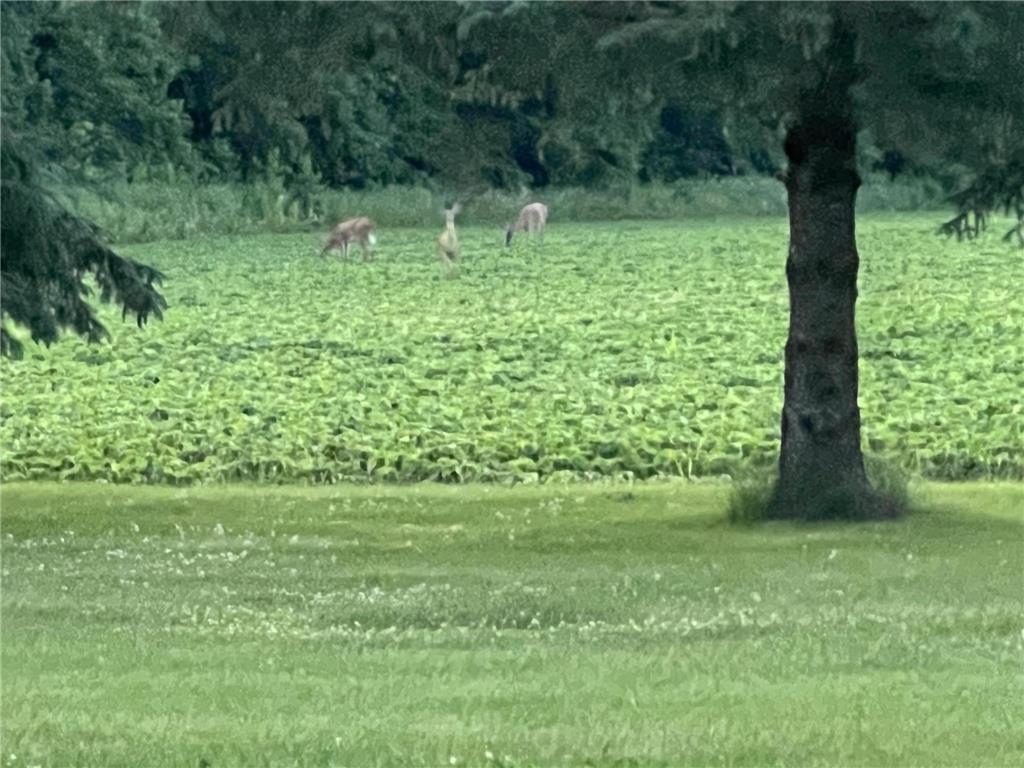 63627 170th Avenue Greenfield Twp MN 55945 - Gorman Creek 7024317 image69