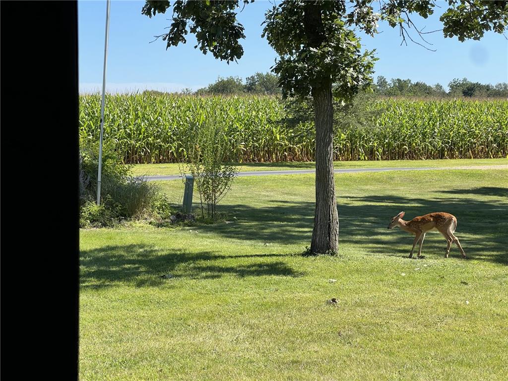 63627 170th Avenue Greenfield Twp MN 55945 - Gorman Creek 7024317 image7