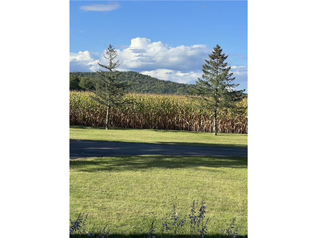 63627 170th Avenue Greenfield Twp MN 55945 - Gorman Creek 7024317 image71