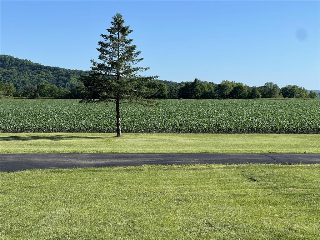 63627 170th Avenue Greenfield Twp MN 55945 - Gorman Creek 7024317 image72