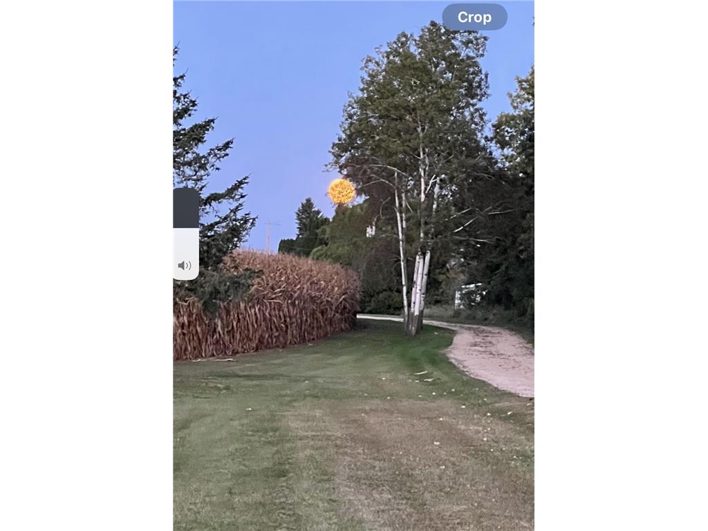 63627 170th Avenue Greenfield Twp MN 55945 - Gorman Creek 7024317 image74