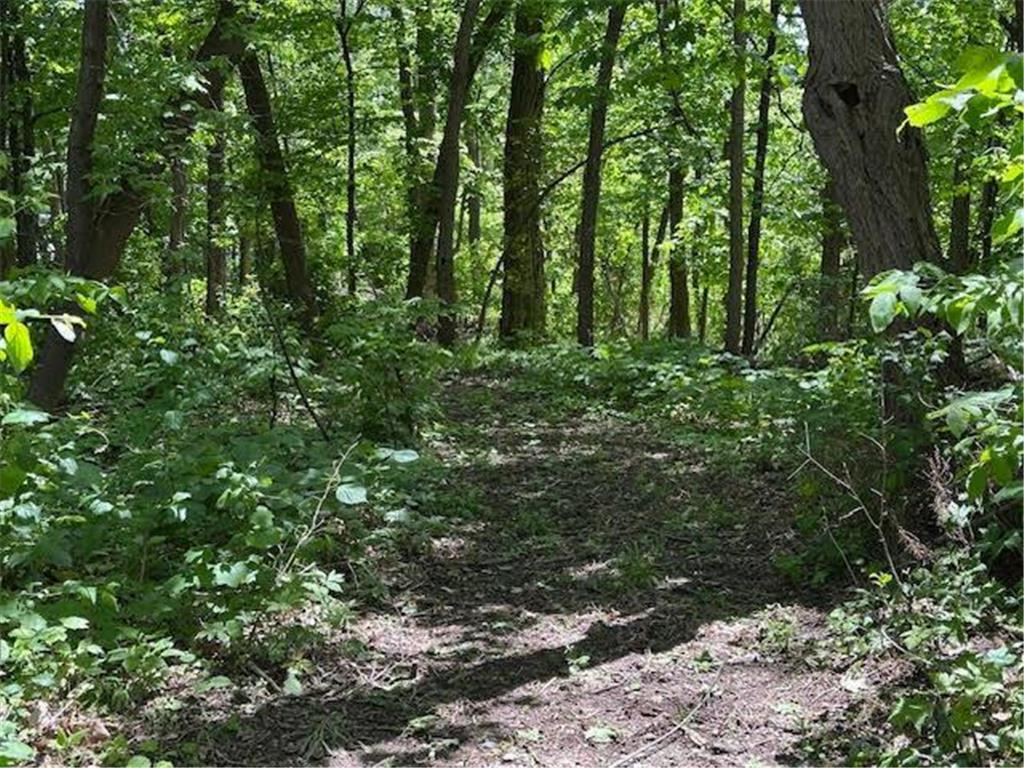 6365 Bay Ridge Road Mound MN 55364 - Lake Minnetonka 6751760 image13