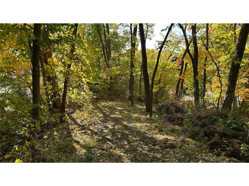 6365 Bay Ridge Road Mound MN 55364 - Lake Minnetonka 6751760 image15