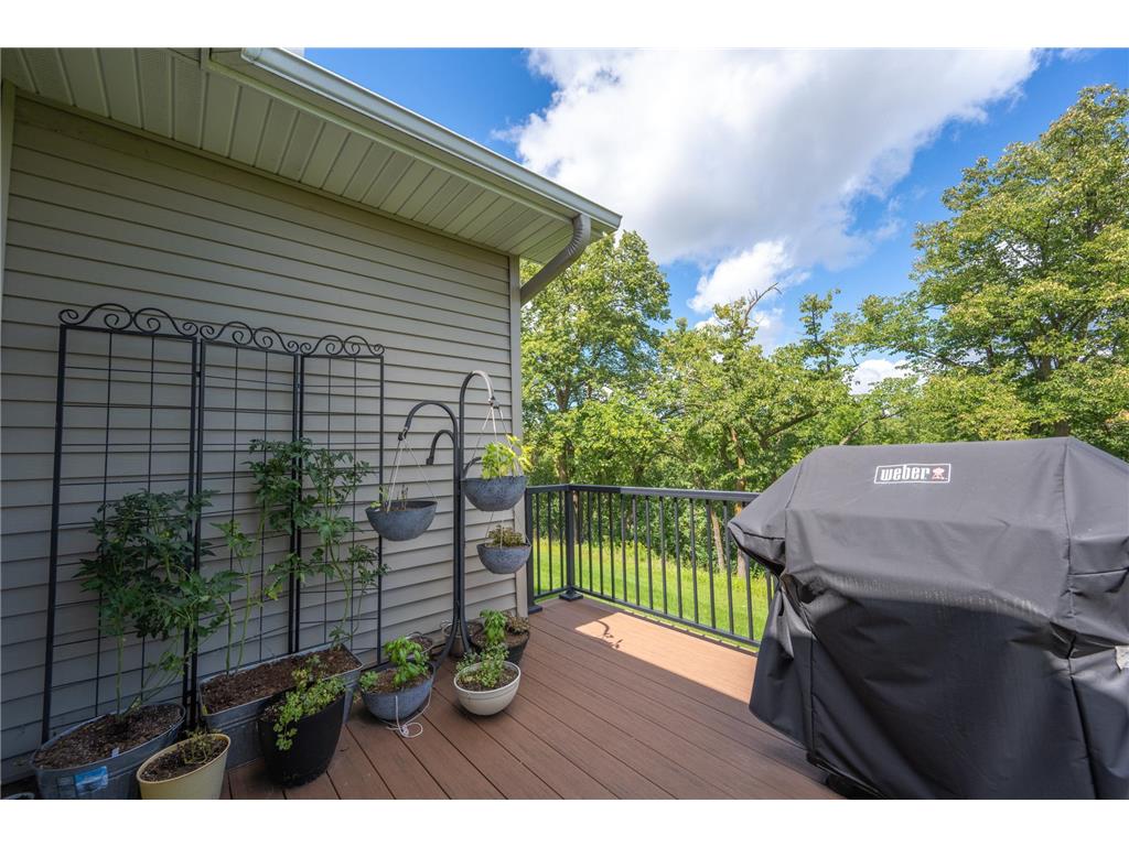 637 Maple Court New Richmond WI 54017 - Paperjack Creek 7024315 image41