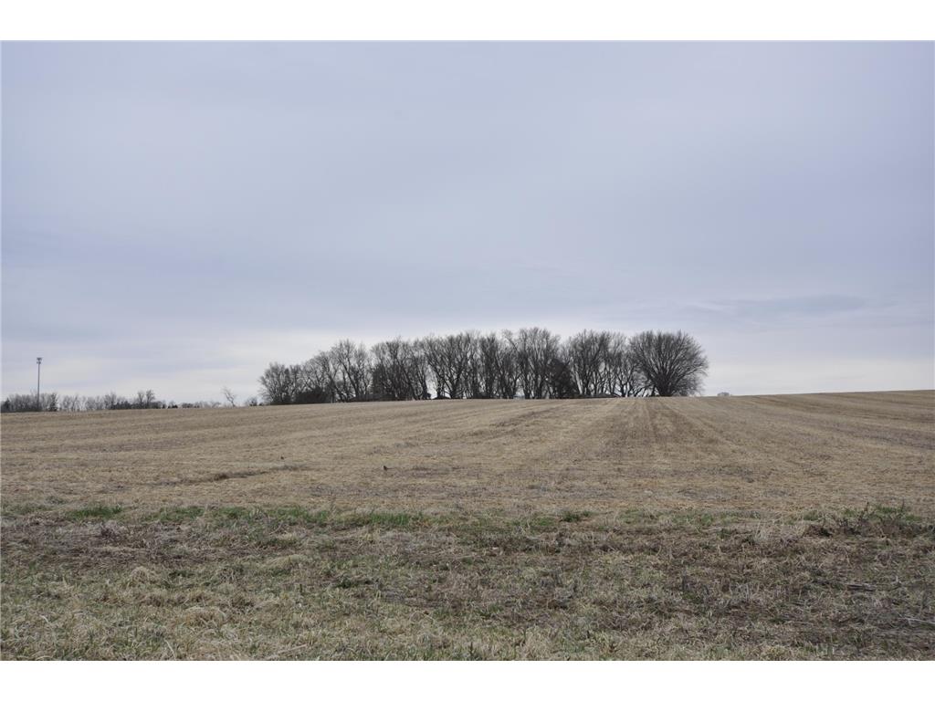 638 Shardlow Place NE Byron MN 55920 7044817 image20