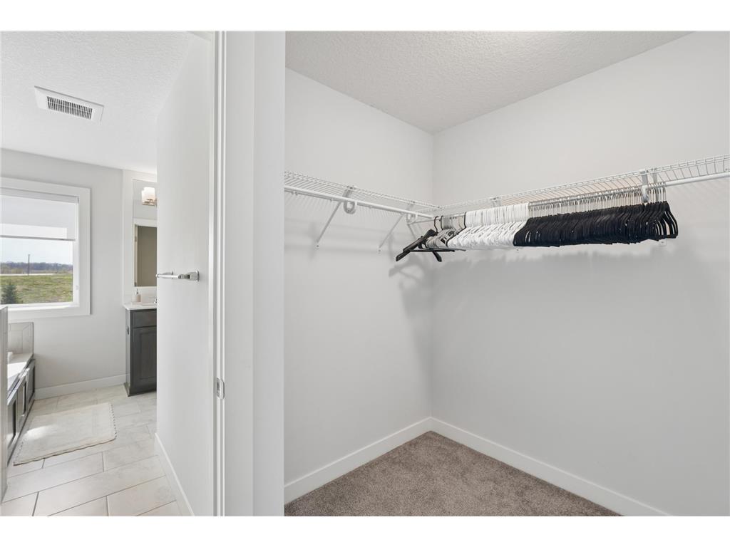 6381 Harvest Trail Chaska MN 55318 7060734 image25