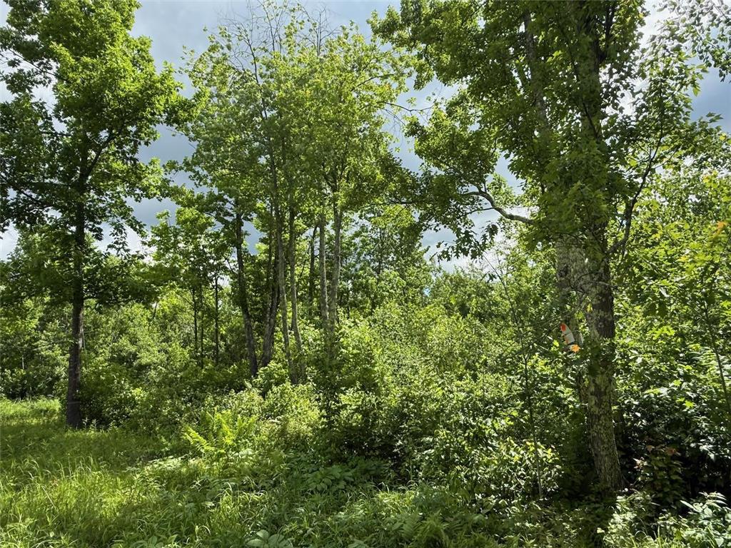 63872 Kingsdale Road New Dosey Twp MN 55072 7092389 image3