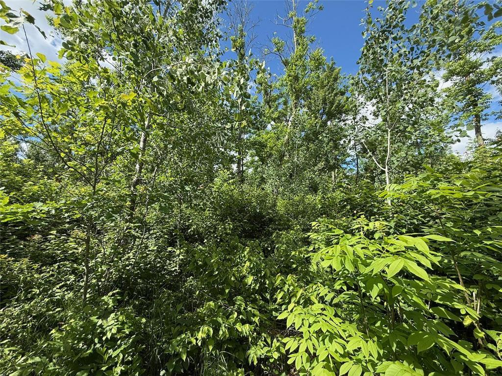 63872 Kingsdale Road New Dosey Twp MN 55072 7092389 image5