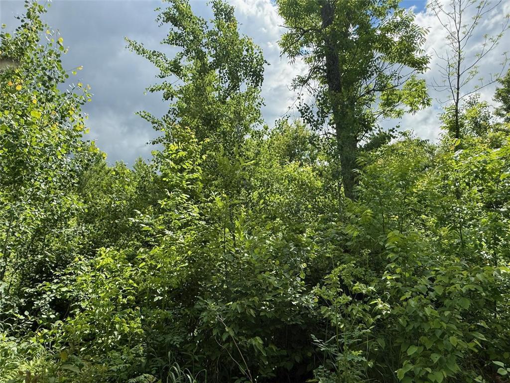 63872 Kingsdale Road New Dosey Twp MN 55072 7092389 image6