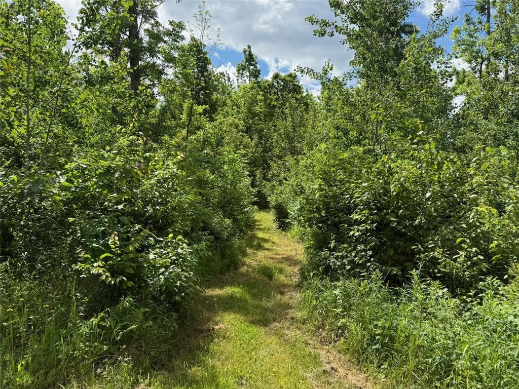 63872 Kingsdale Road New Dosey Twp MN 55072 7092389 image7