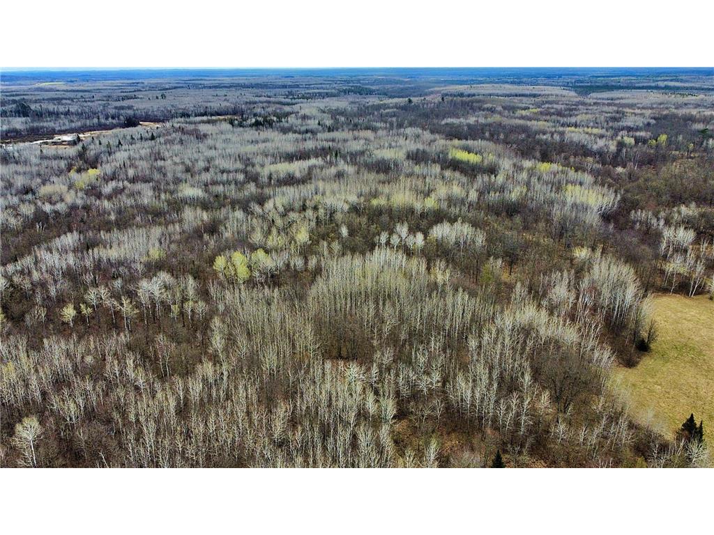 63994 Osprey Avenue Aitkin MN 55785 7070727 image51