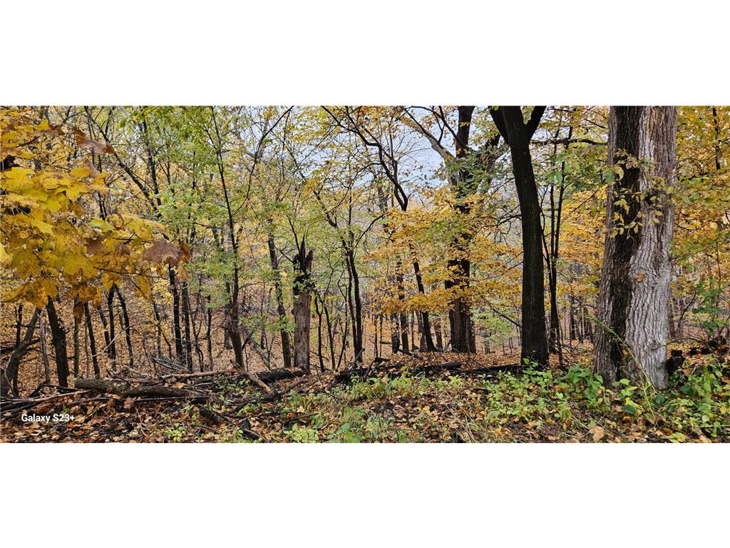 64 Skyline Drive Mankato MN 56001 7058292 image4
