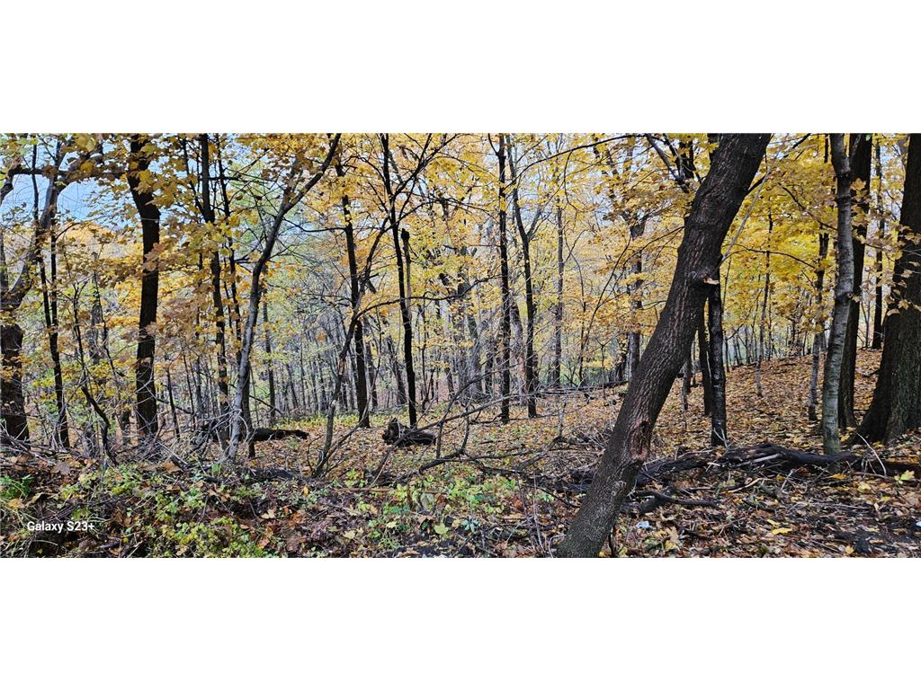 64 Skyline Drive Skyline MN 56001 7105120 image17