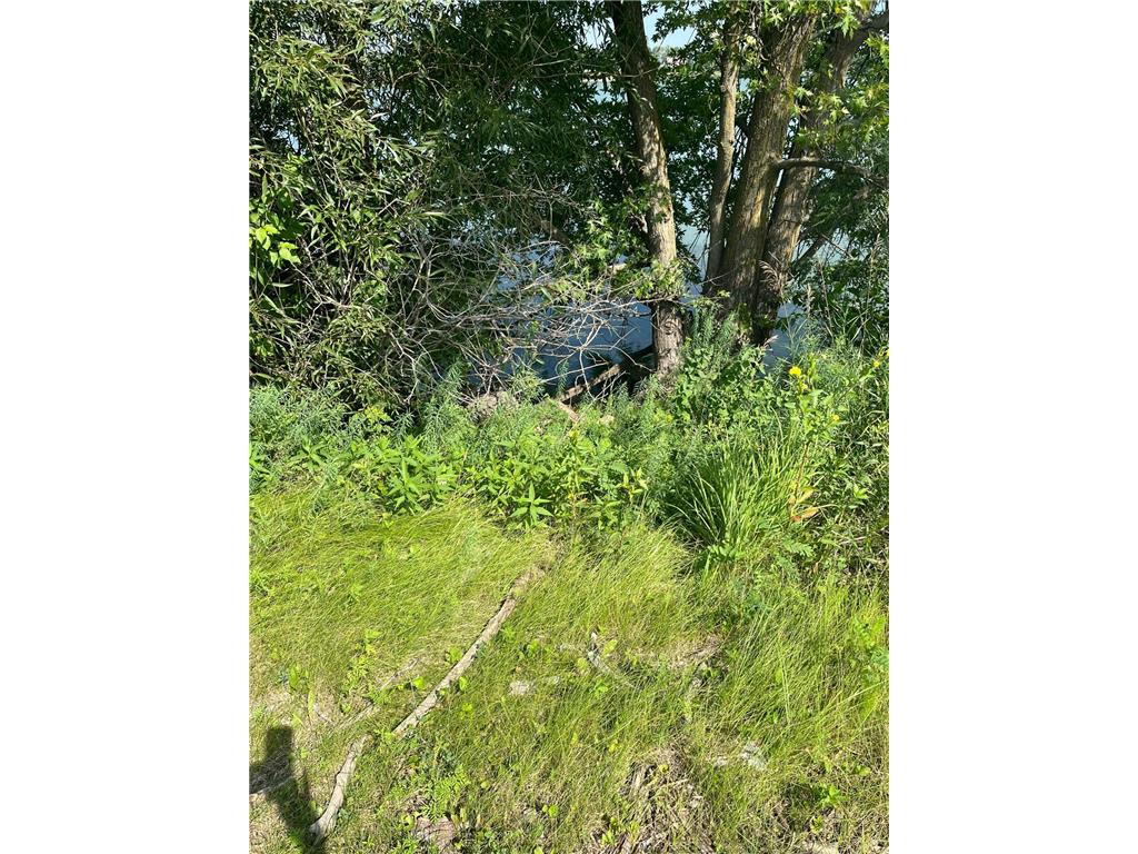 640 West Lake Street W Avoca MN 56114 - Lime 6766908 image4
