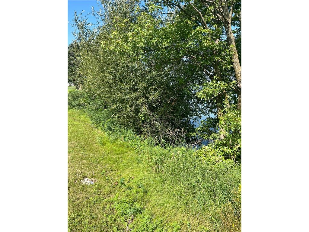 640 West Lake Street W Avoca MN 56114 - Lime 6766908 image5