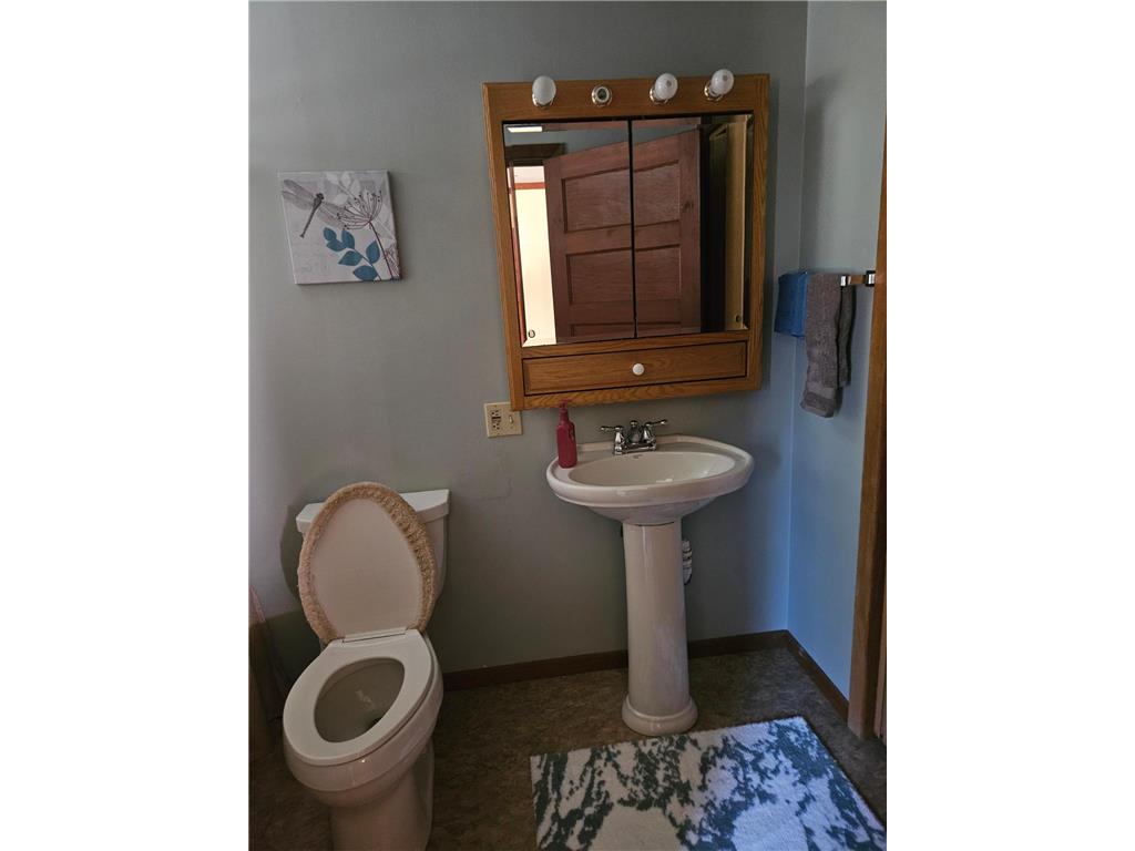 6402 Krull Street Williams MN 56686 6782704 image21