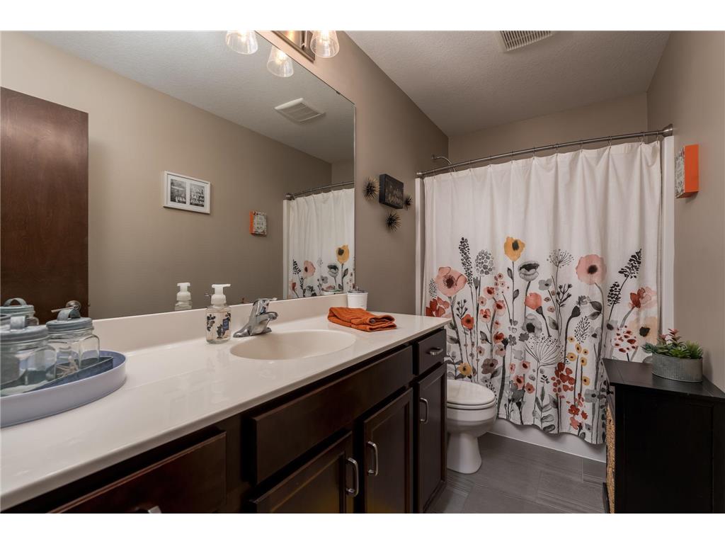 641 Beverly Street Wanamingo MN 55983 6728926 image16