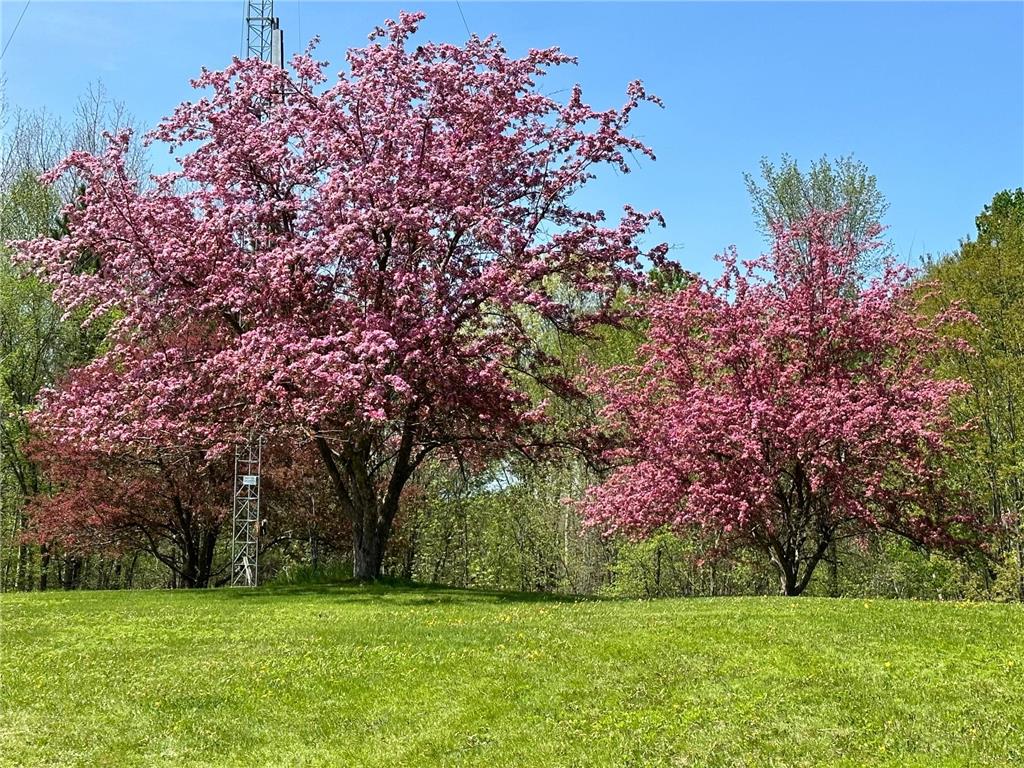 641 Cascade Road, Lynden Twp, MN, 55382 MLS 6484364 Edina Realty