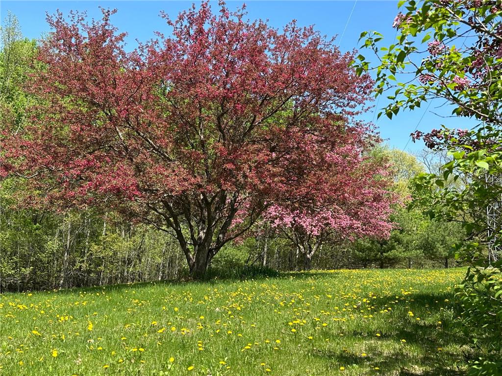 641 Cascade Road, Lynden Twp, MN, 55382 MLS 6484364 Edina Realty