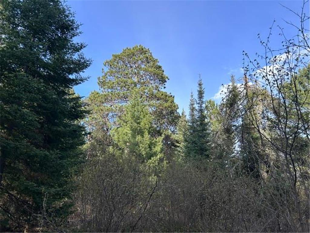 6413 E Barker Road Gilbert MN 55741 - Whiteface 7089227 image18