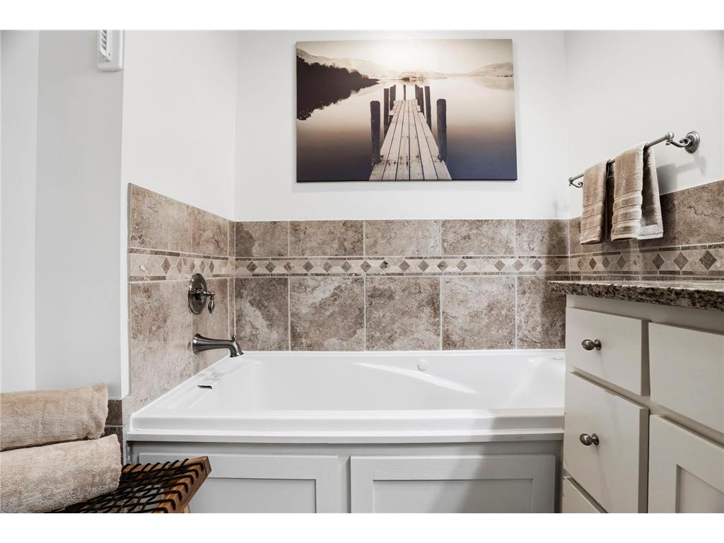 6420 Bluff Drive Bloomington MN 55438 7023961 image29