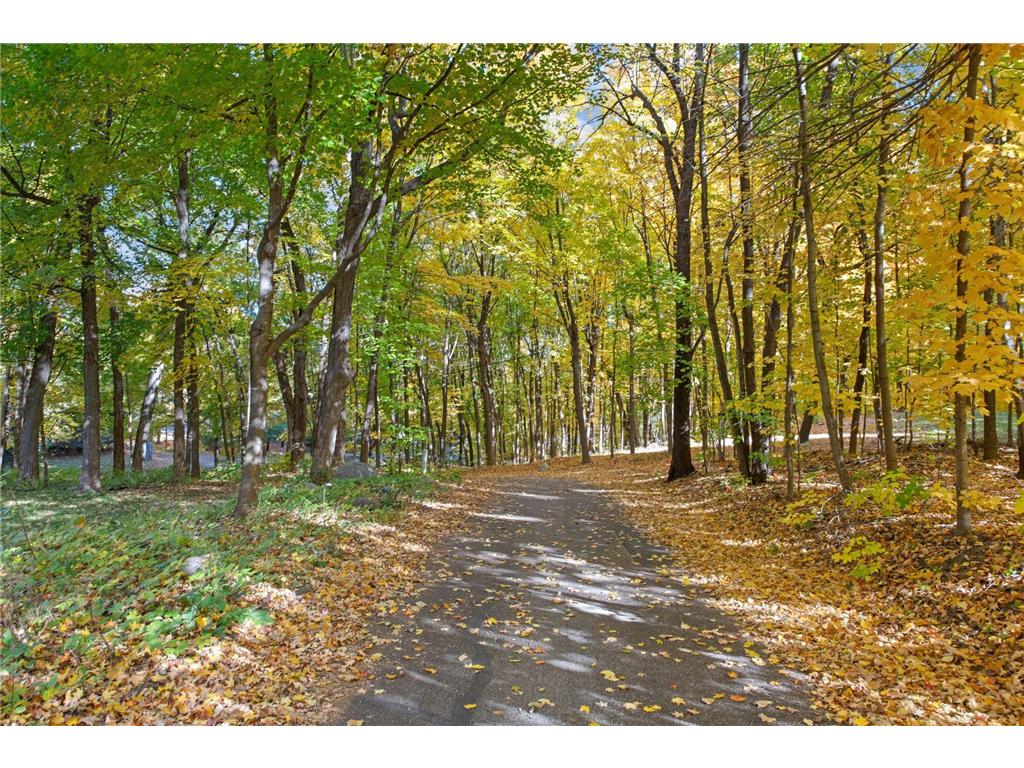 6425 Virginia Drive Victoria MN 55331 - Lake Minnetonka 7055239 image80
