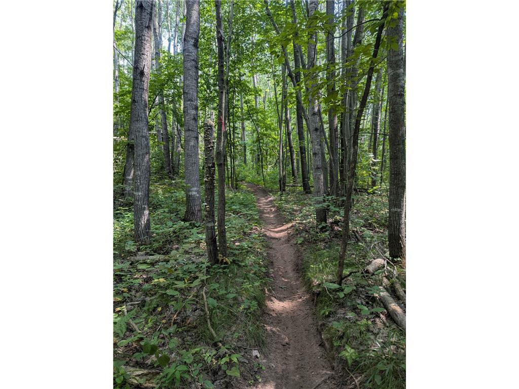 6426 84th Street NE Monticello MN 55362 6731286 image43