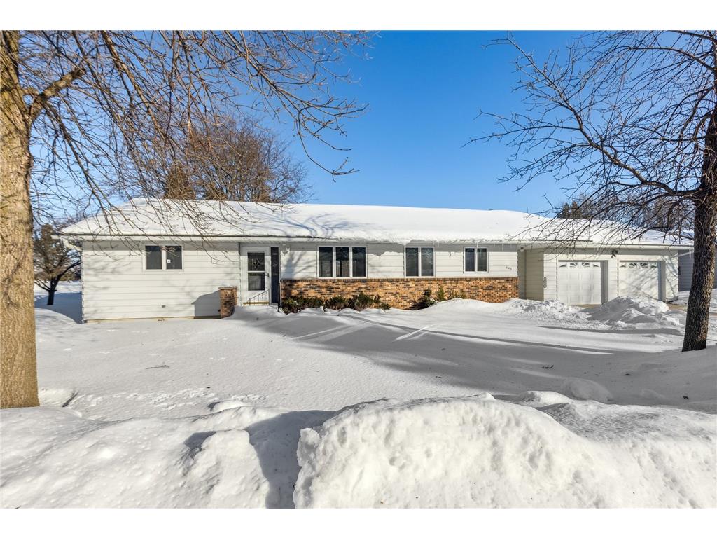 643 W Hall Avenue Buffalo Lake MN 55314 6313037 image1