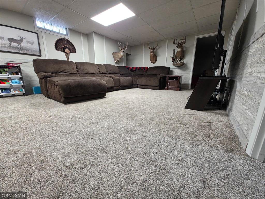 643 W Hall Avenue Buffalo Lake MN 55314 7053107 image18