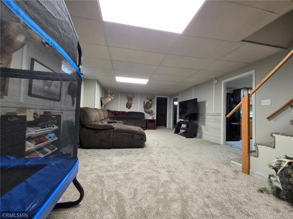 643 W Hall Avenue Buffalo Lake MN 55314 7053107 image19