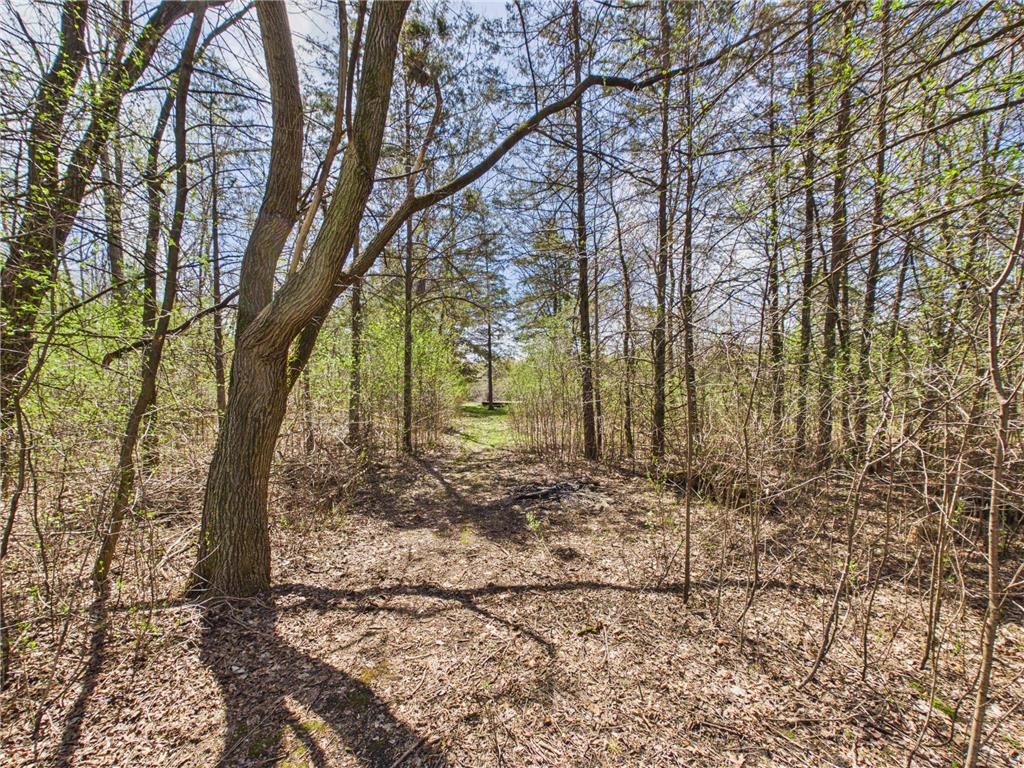 6431 106th Street SE Clear Lake MN 55319 - Mississippi 7062947 image65