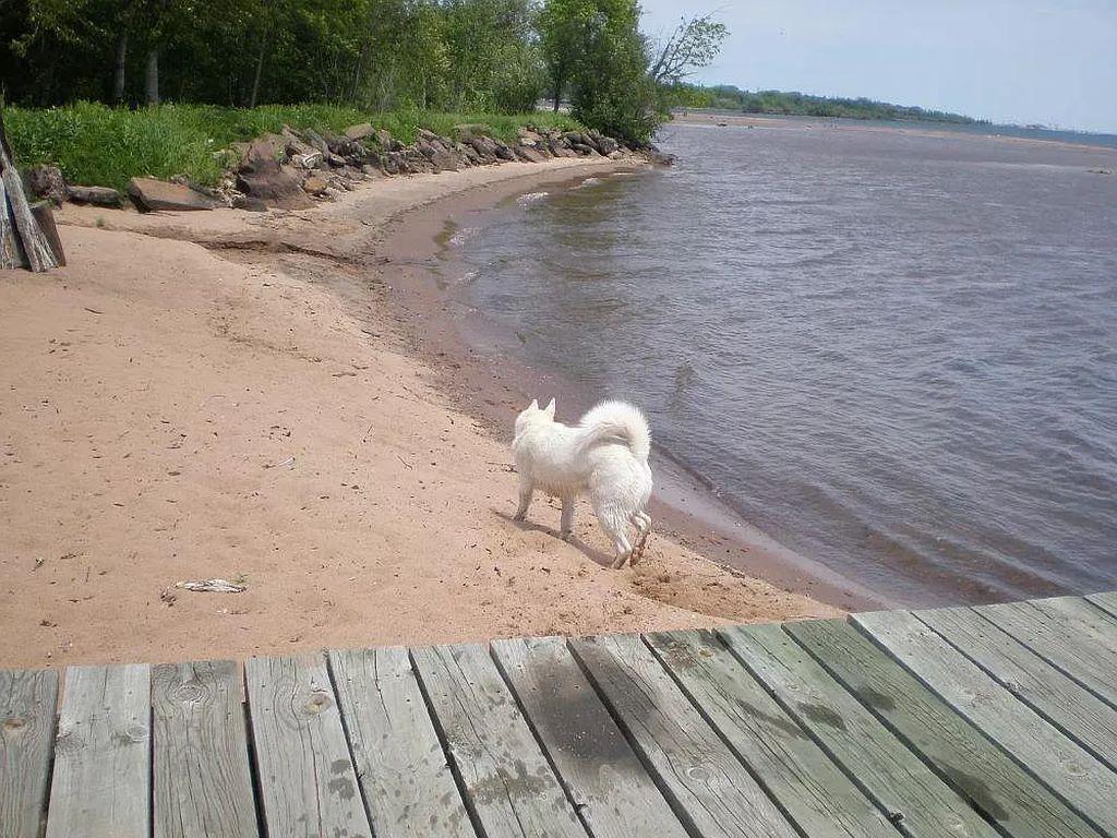 6431 Summit Avenue Washburn WI 54891 - Lake Superior 7074222 image13