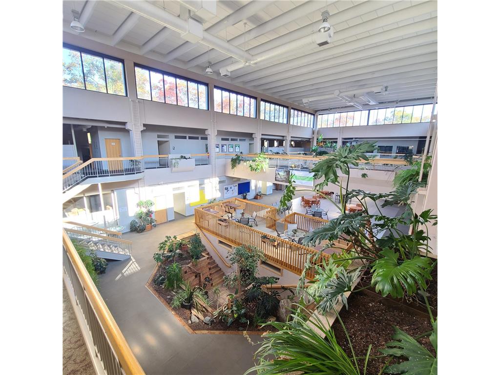 6436 County Road 11 Pequot Lakes MN 56472 6778551 image20