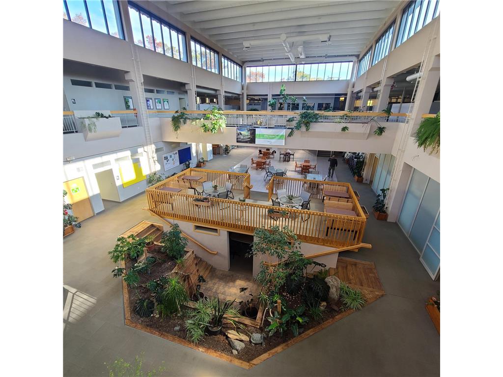 6436 County Road 11 Pequot Lakes MN 56472 6778551 image22